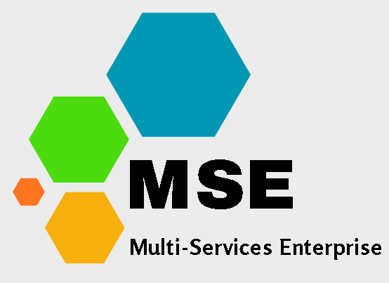 multiservicesent.co.za